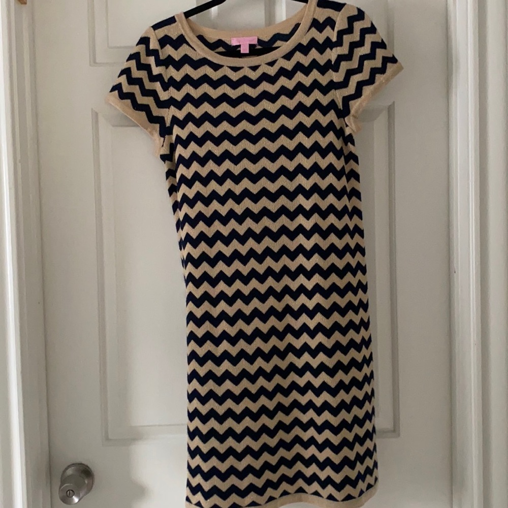 Lilly Pulitzer Chevron Sweater Dress